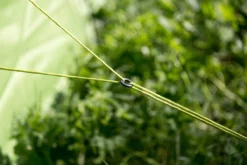 Avontuur Verkoop -Avontuur Verkoop 1200x800 1