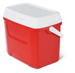 Koelbox Igloo Laguna 28 Red -Avontuur Verkoop 50051 H2