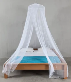 Klamboe Etrias Mid Bengaal